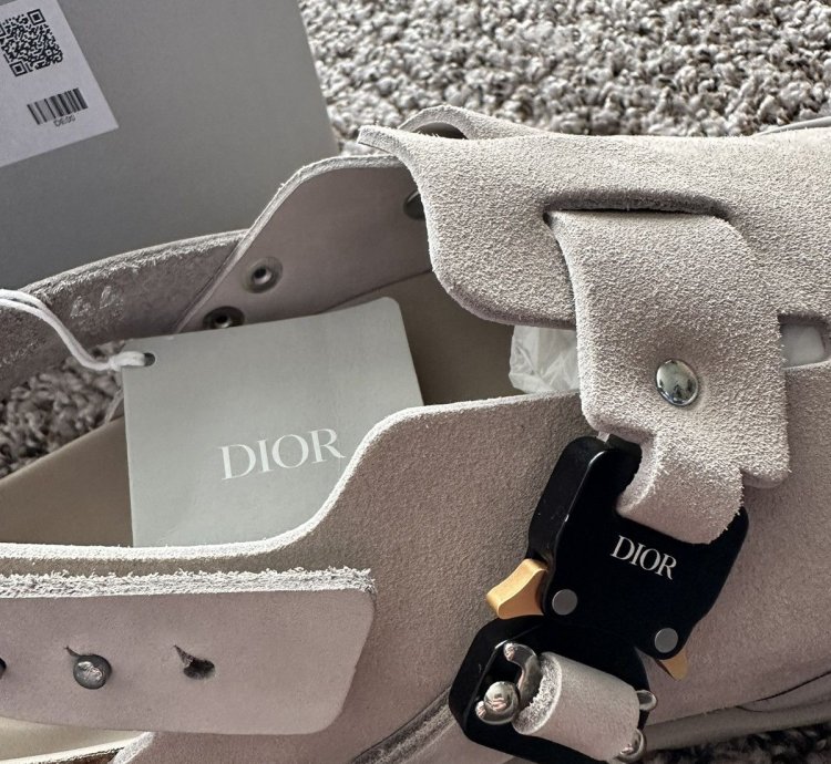 Dior Birkenstock
