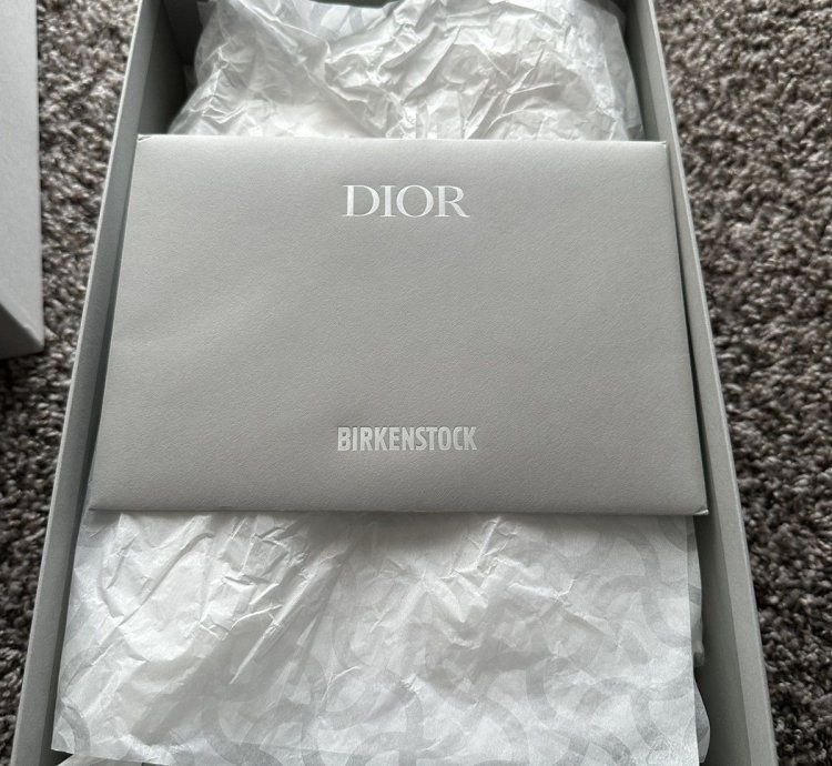Dior Birkenstock