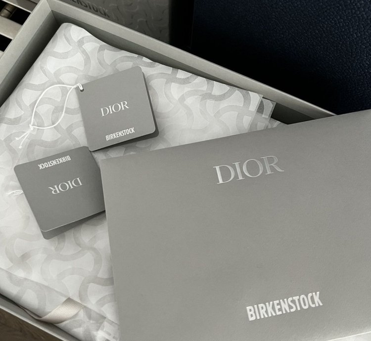 Dior Birkenstock - Tokio Mule