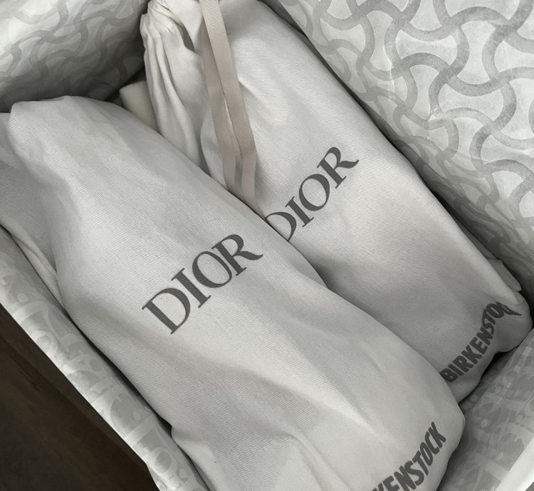 Dior Birkenstock - Tokio Mule