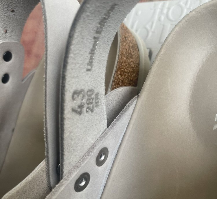 Dior Birkenstock 2022