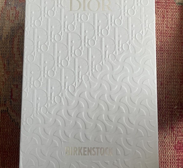 Dior Birkenstock 2022