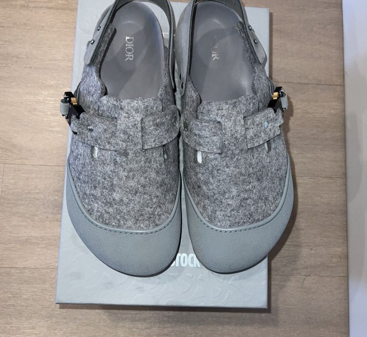 Dior Birkenstock Boston