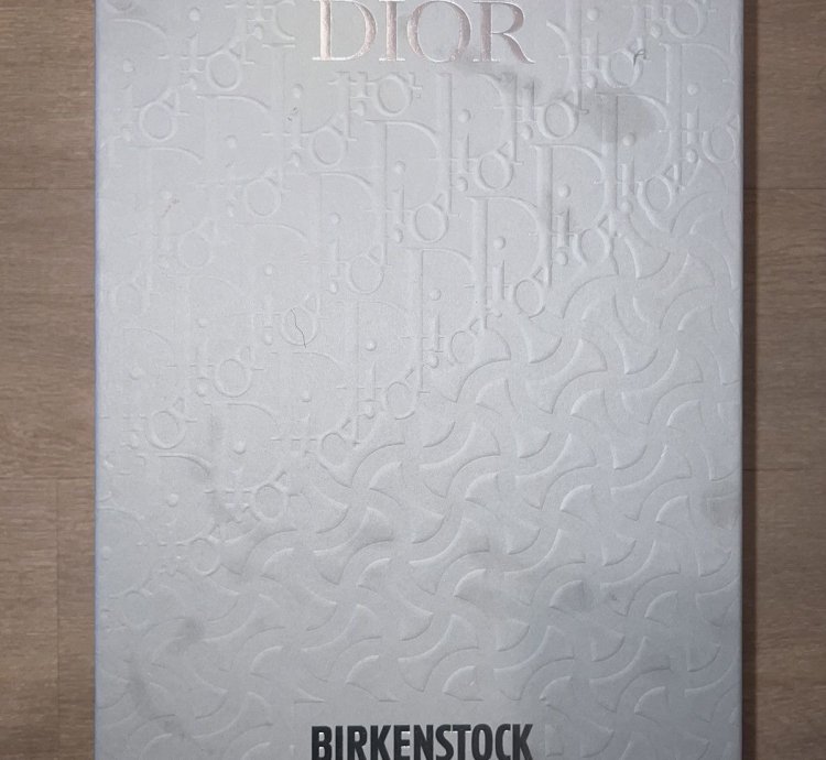 Dior Birkenstock Boston