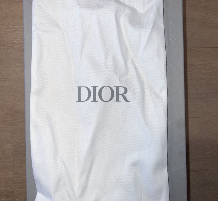 Dior Birkenstock Boston