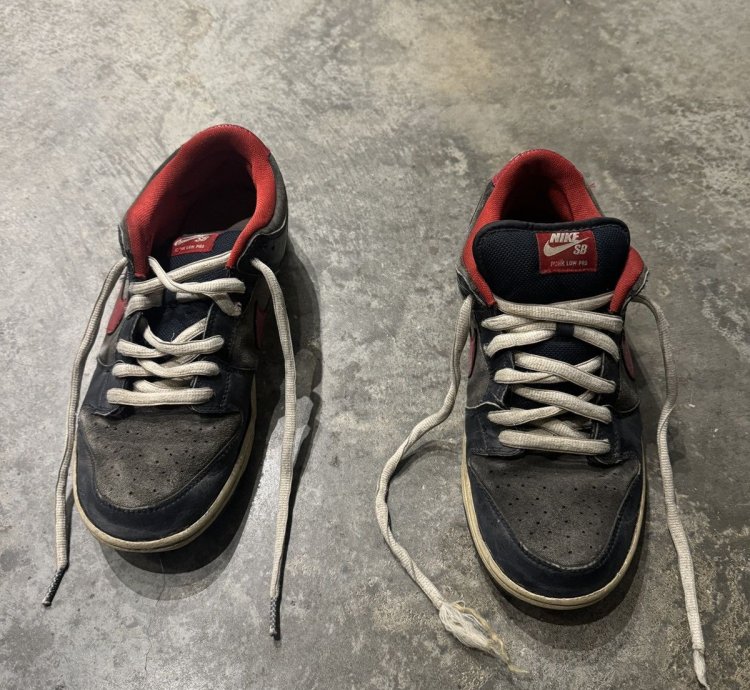 Nike Dunk Sb Dunk Low Pro Dark Obsidian Gym Red