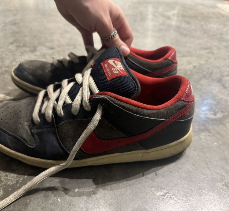 Nike Dunk Sb Dunk Low Pro Dark Obsidian Gym Red