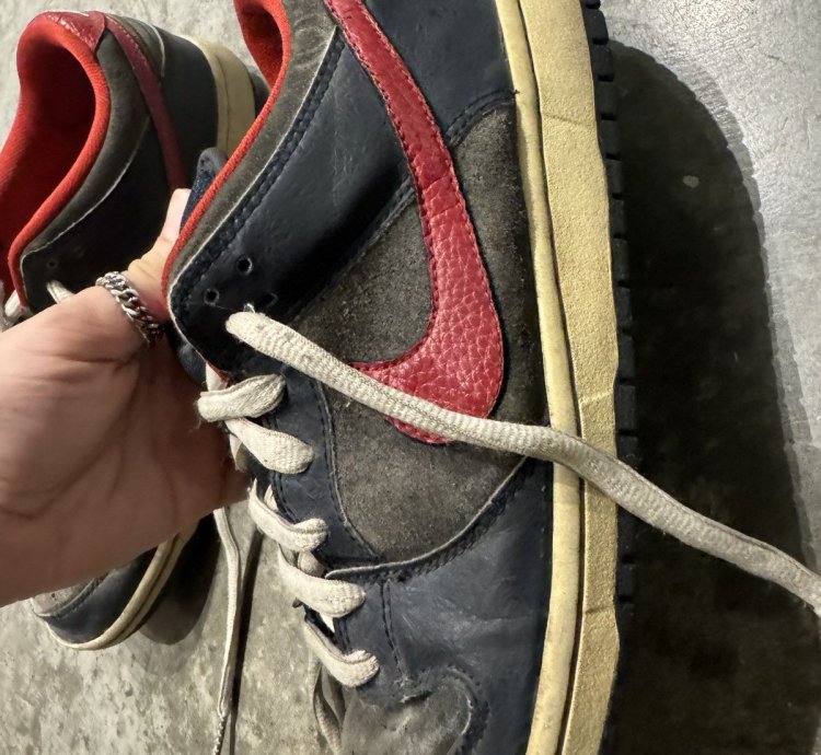 Nike Dunk Sb Dunk Low Pro Dark Obsidian Gym Red