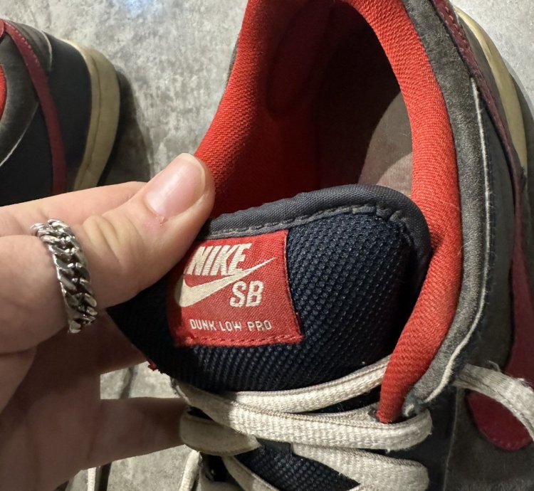 Nike Dunk Sb Dunk Low Pro Dark Obsidian Gym Red