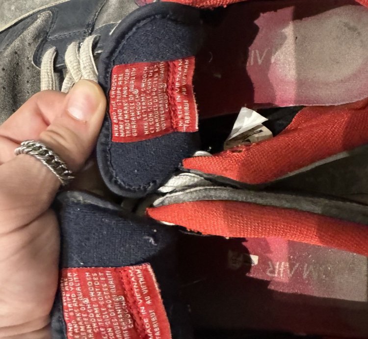 Nike Dunk Sb Dunk Low Pro Dark Obsidian Gym Red