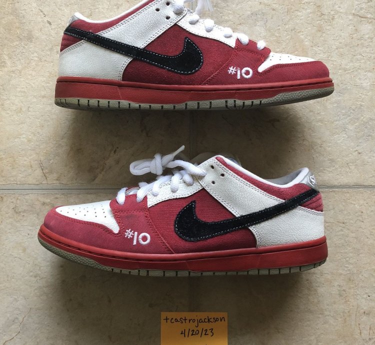 Nike Roller Derby Dunk Low Premium Sb