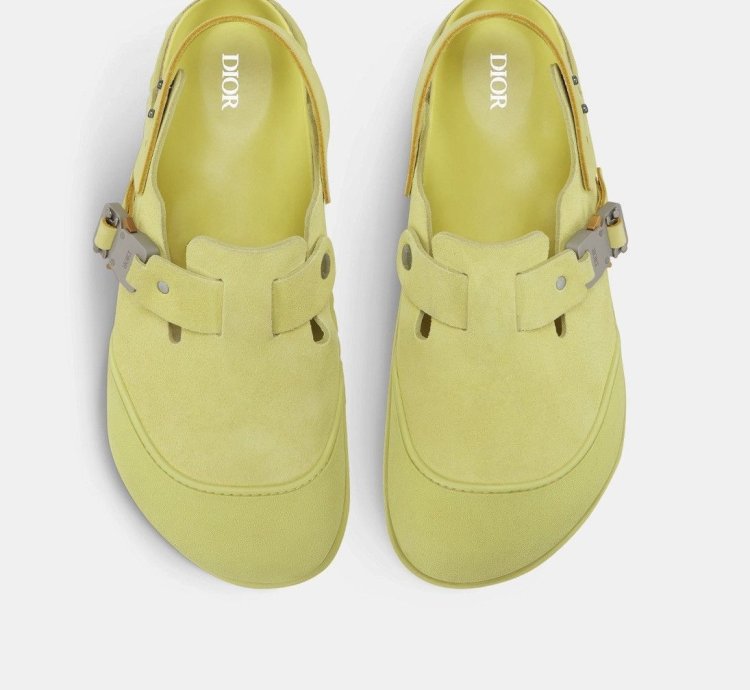 Dior Birkenstock Nubuck Tokio Mules Sandals