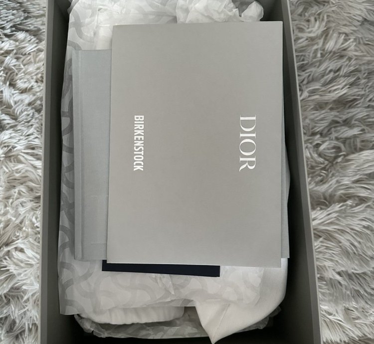Dior Birkenstock Smooth Calf Slipper Water Green
