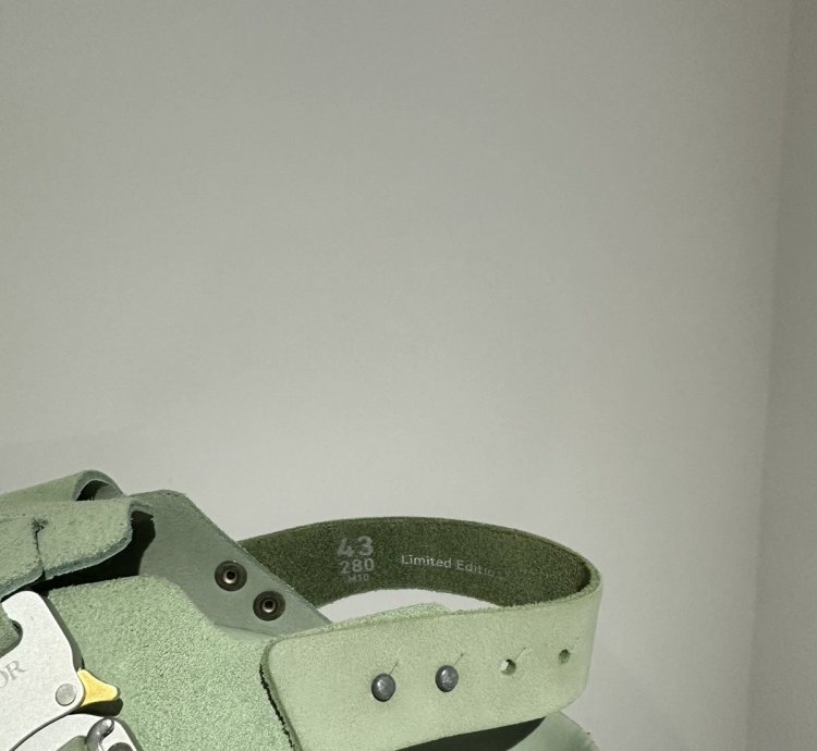 Dior Birkenstock Smooth Calf Slipper Water Green
