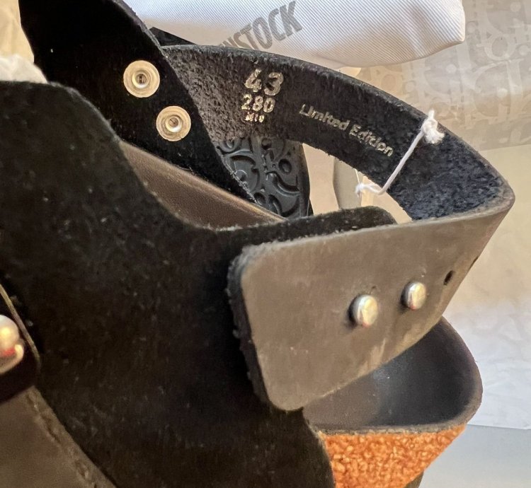 Dior Birkenstock Tokio Mule