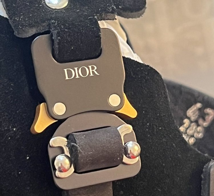 Dior Birkenstock Tokio Mule