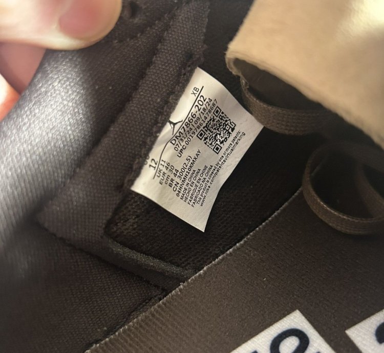 Size 12 Travis Scott Air Jordan 1 Velvet Brown