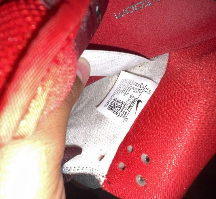 Nike Sb Cherry