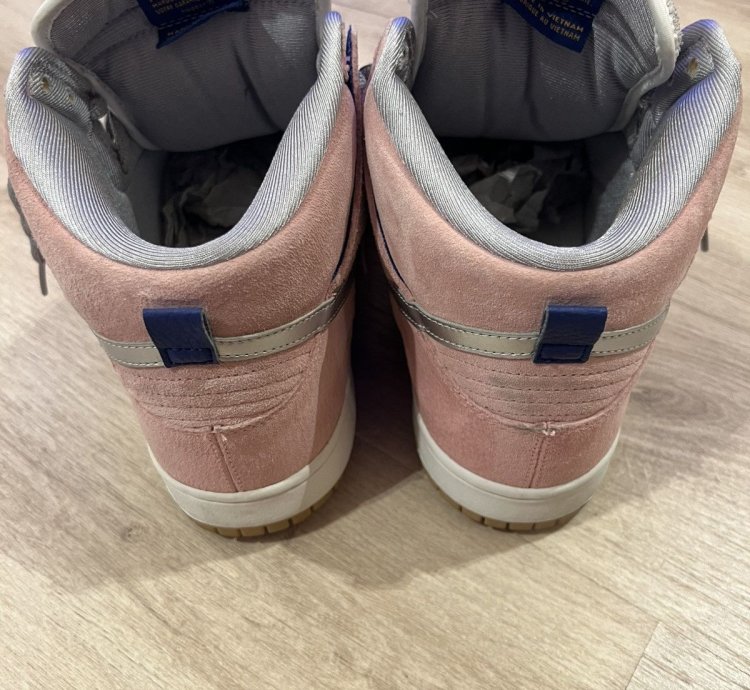 Nike Sb Concepts When Pigs Fly