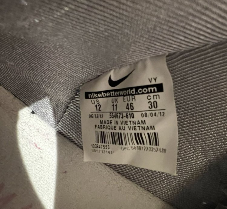 Nike Sb Concepts When Pigs Fly