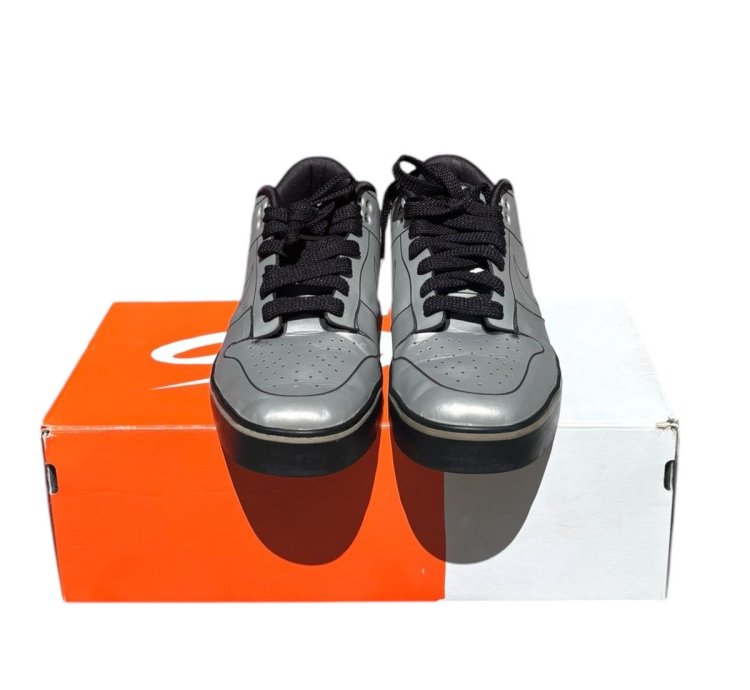 Nike Sb Dunk 6 0 Delorean Rare Vintage 2010