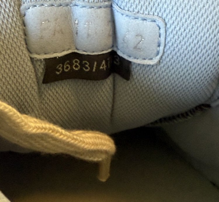 Dior Cactus Jack B713 Sneakers Mocha