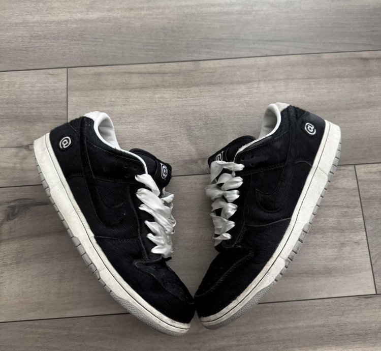 Nike Sb Dunk Bearbrick Lows Steal