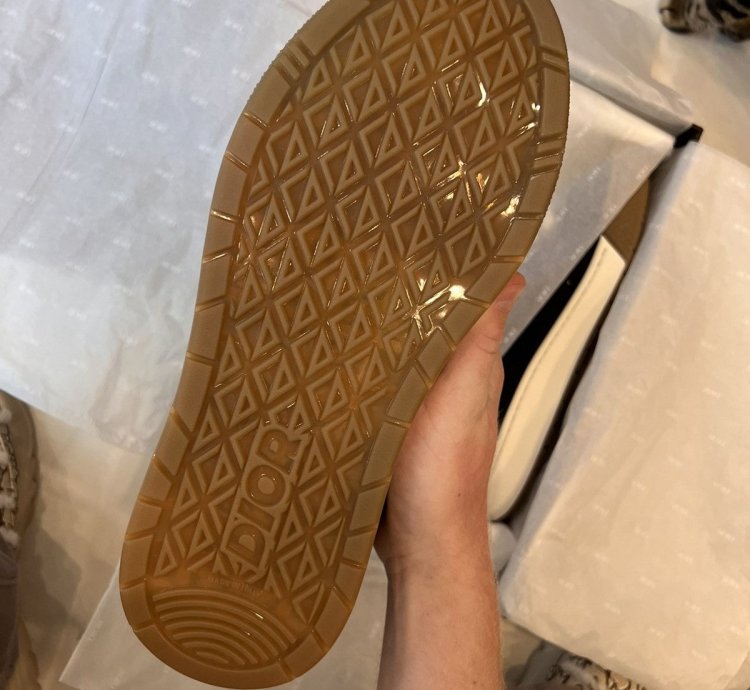 Dior Cactus Jack Brown Low Top Limited And Numbered