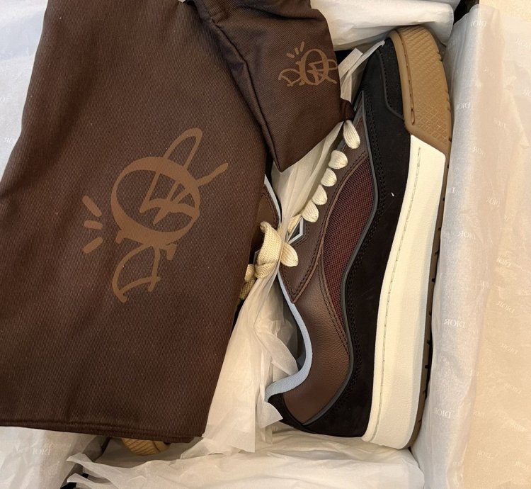 Dior Cactus Jack Brown Low Top Limited And Numbered