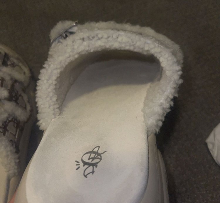 Dior Cactus Jack Cream Sandals