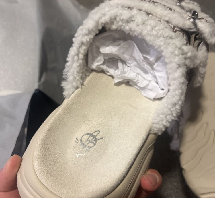 Dior Cactus Jack Cream Sandals