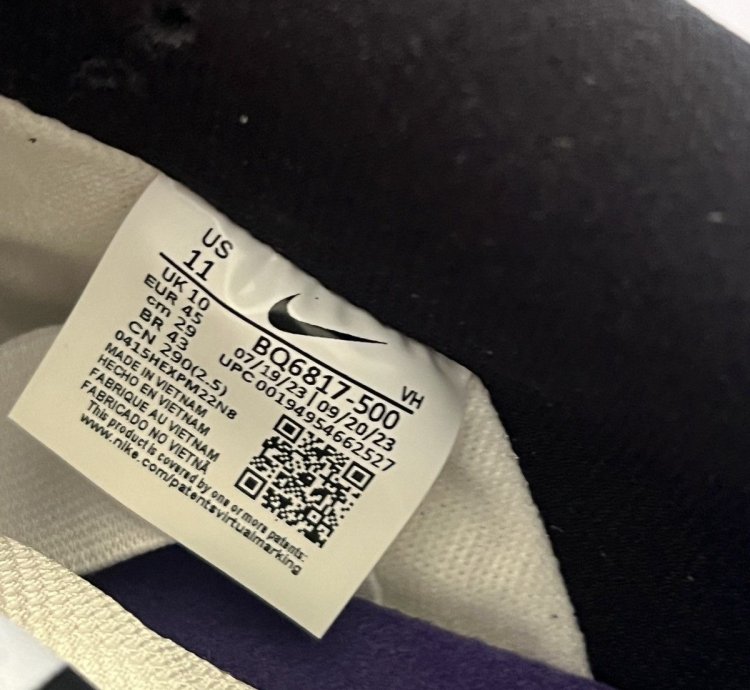 Nike Sb Dunk Court Purple