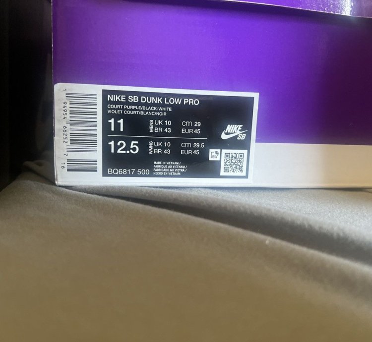 Nike Sb Dunk Court Purple