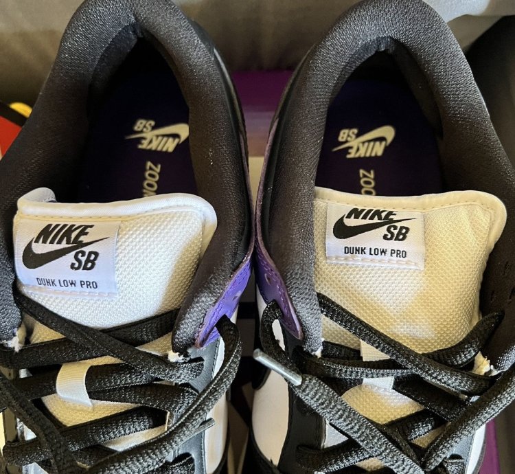 Nike Sb Dunk Court Purple
