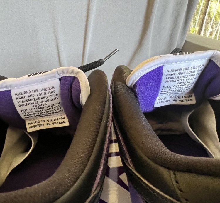 Nike Sb Dunk Court Purple