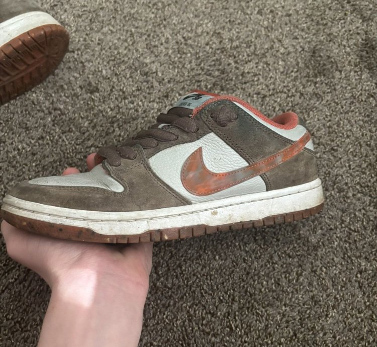 Nike Sb Dunk Crushed