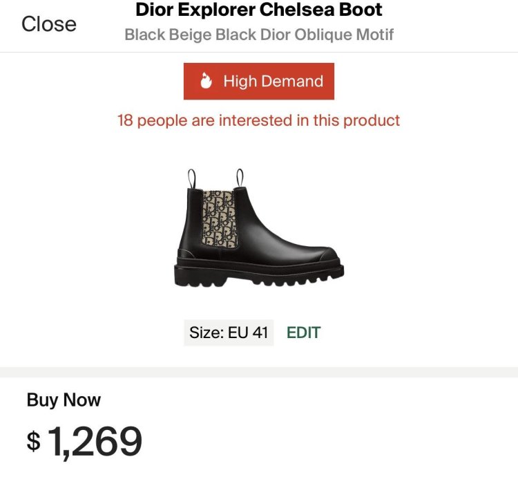 Dior Chelsea Explorer Boot