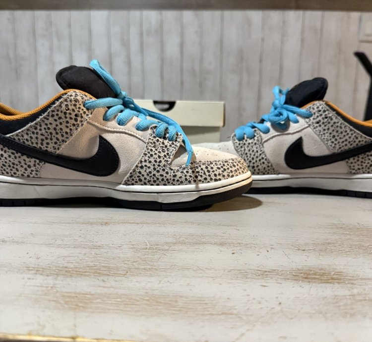 Nike Sb Dunk Electric Pack Olympic Pack