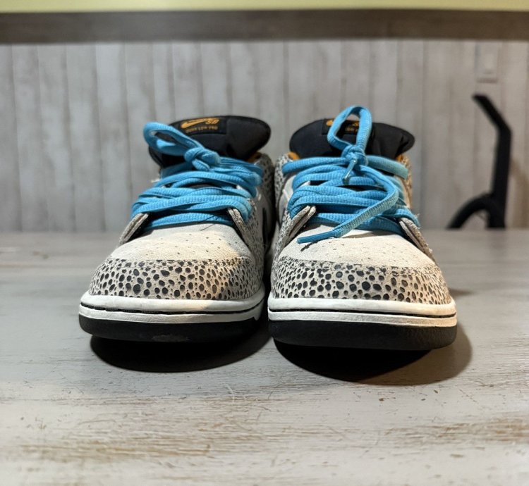Nike Sb Dunk Electric Pack Olympic Pack