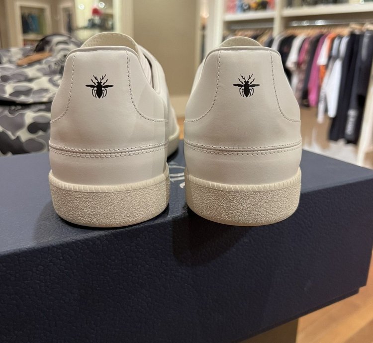 Dior Daniel Arsham B01 Sneakers Brand New