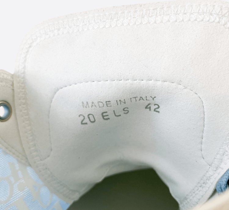 Dior Daniel Arsham Blue Oblique B23 Sneakers