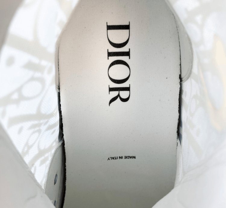Dior Daniel Arsham Blue Oblique B23 Sneakers