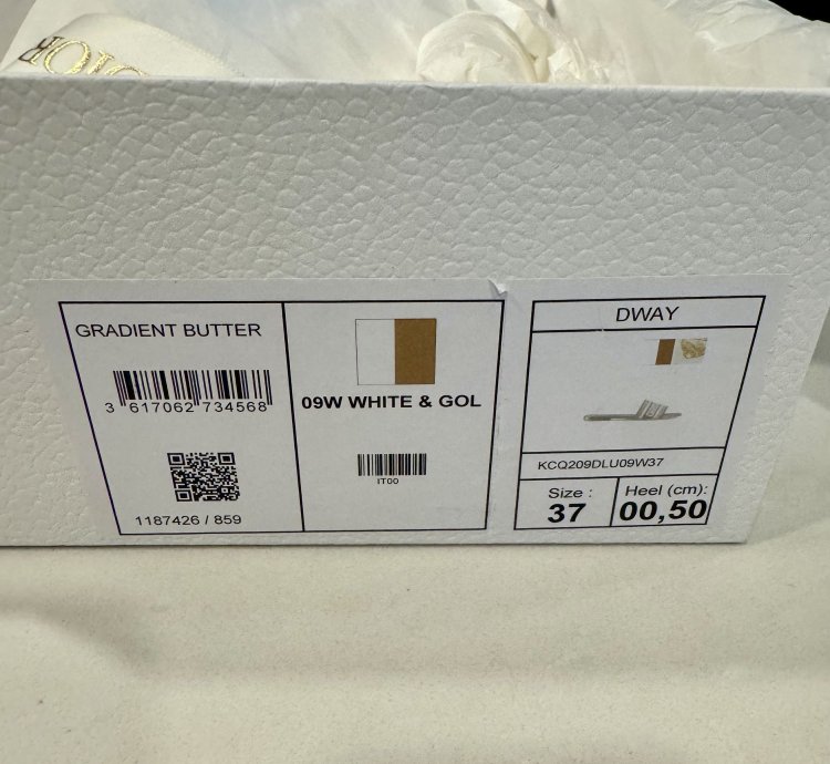 Dior Dway Slide - White And Gold Tone Gradient Butterflies
