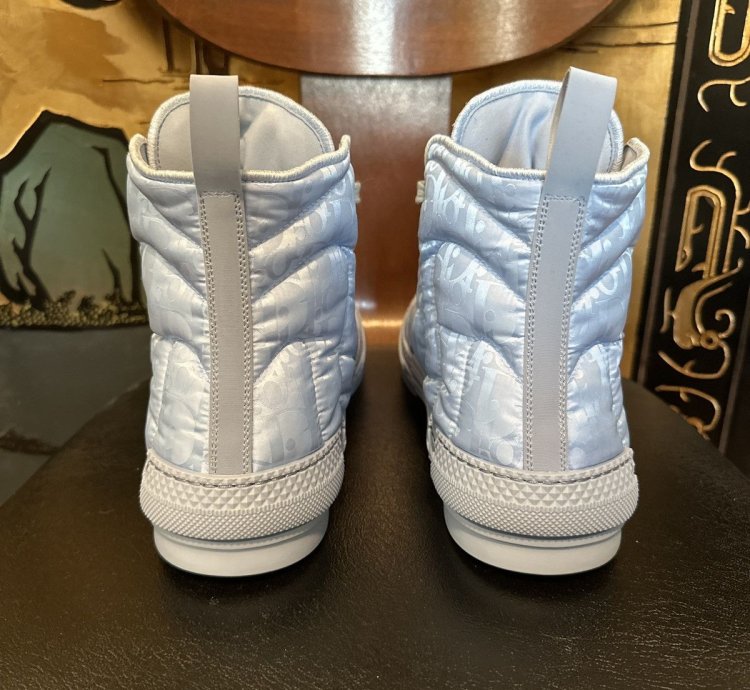 Dior Erl B23 High-top Sneaker