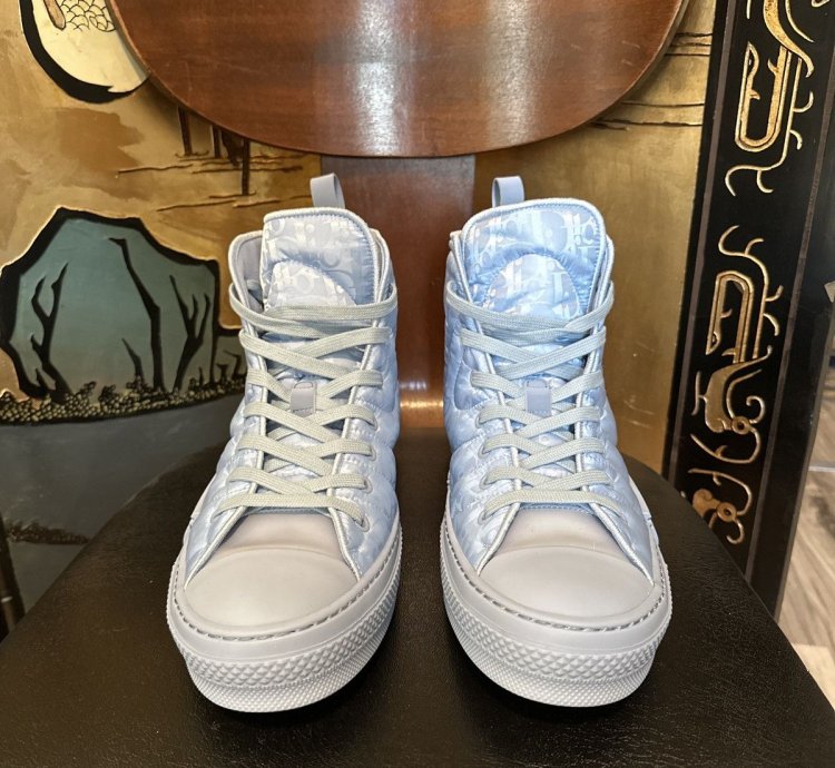 Dior Erl B23 High-top Sneaker