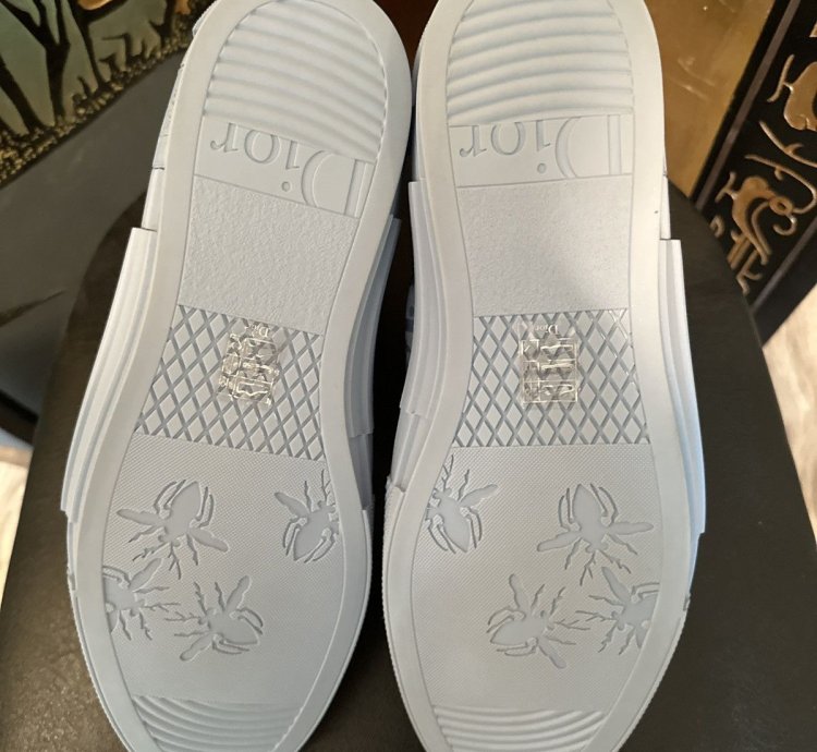 Dior Erl B23 High-top Sneaker