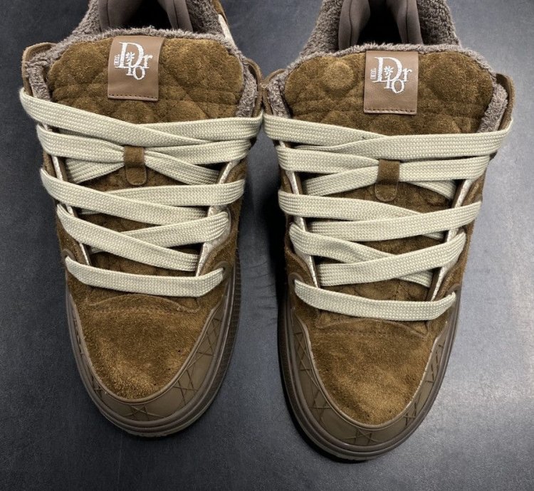 Dior Erl B9s Skater Sneaker Low