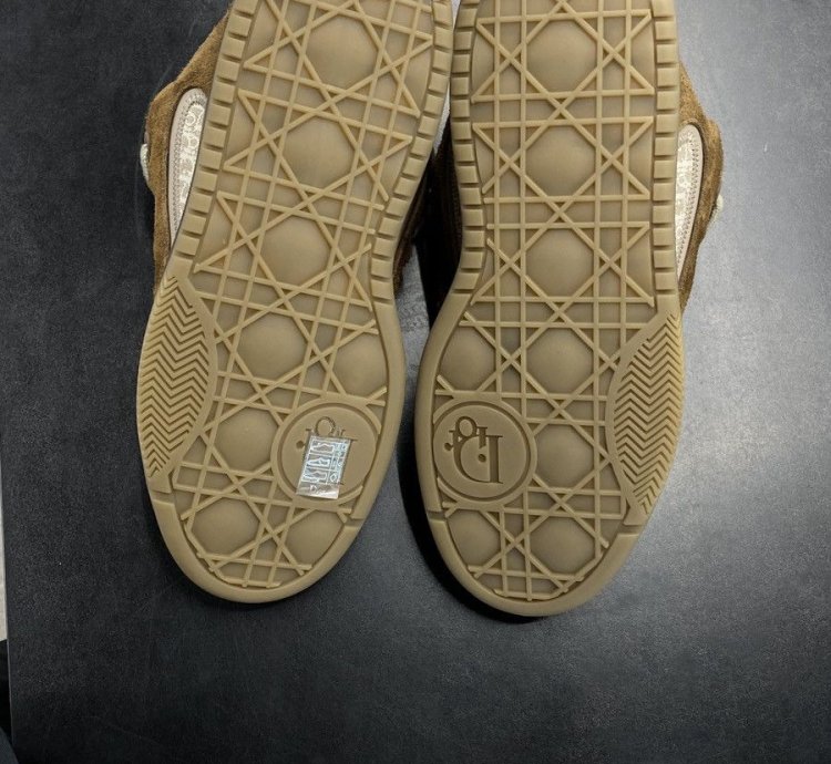 Dior Erl B9s Skater Sneaker Low