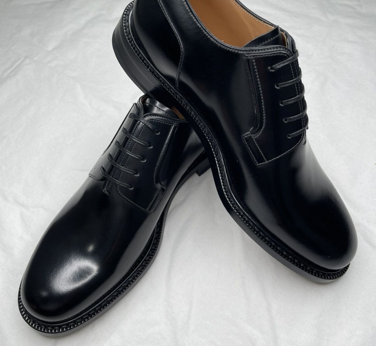 Dior Evidence Derby