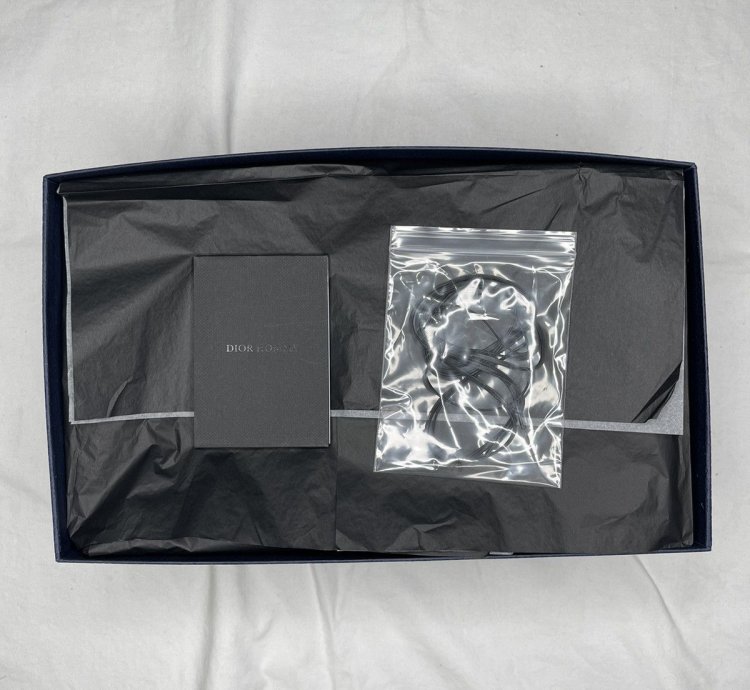 Dior Evidence Derby